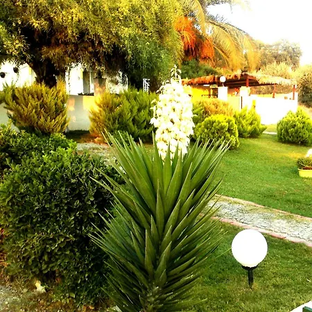 Hotel Tepe